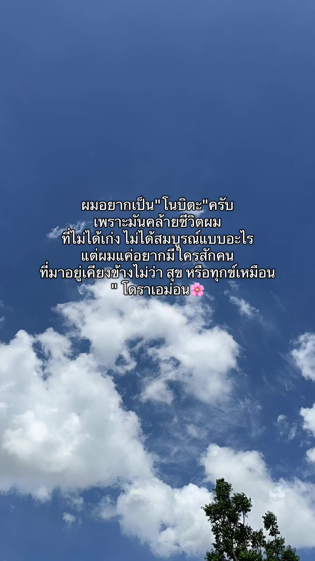 @Chu 🪼(ชุ)