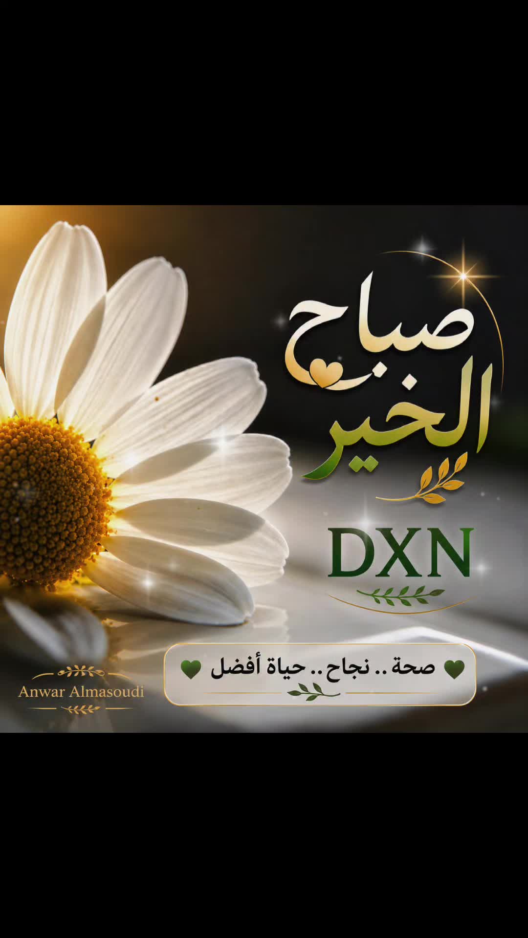 @DXN NEDERLAND