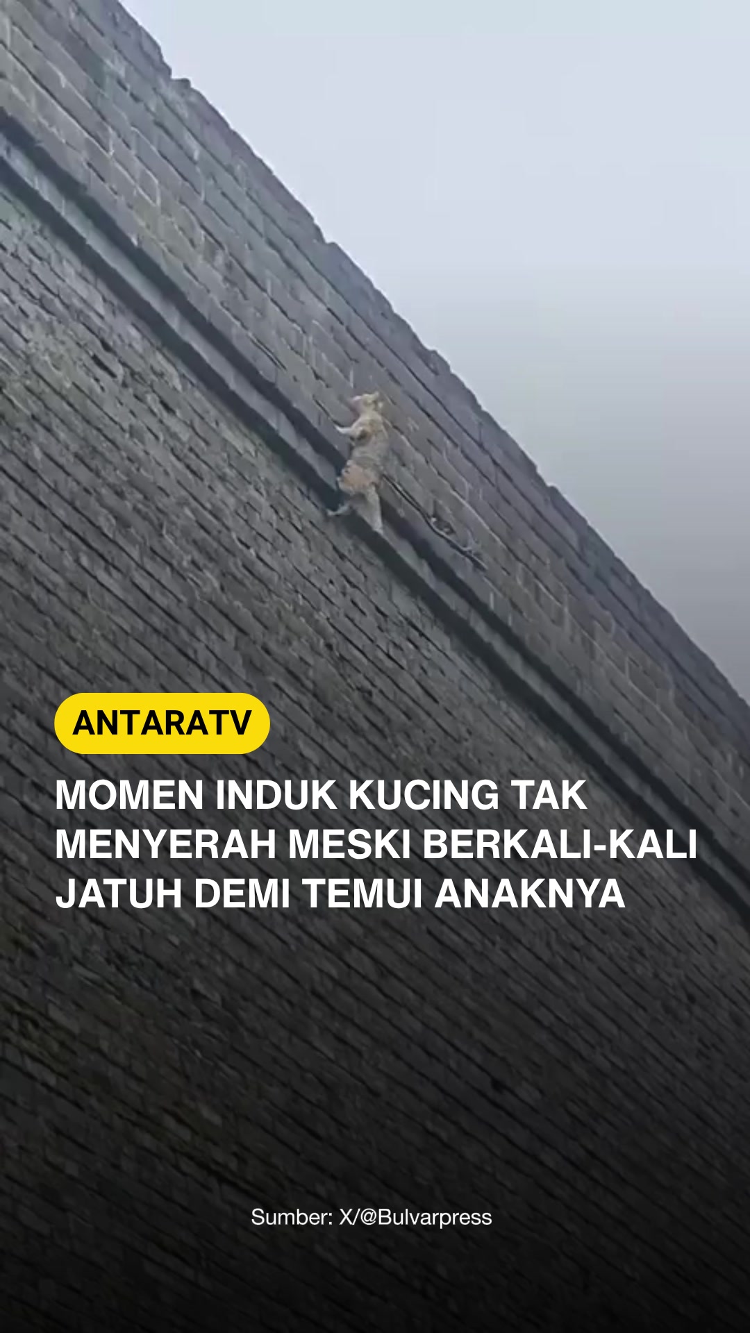 @Antara TV Indonesia