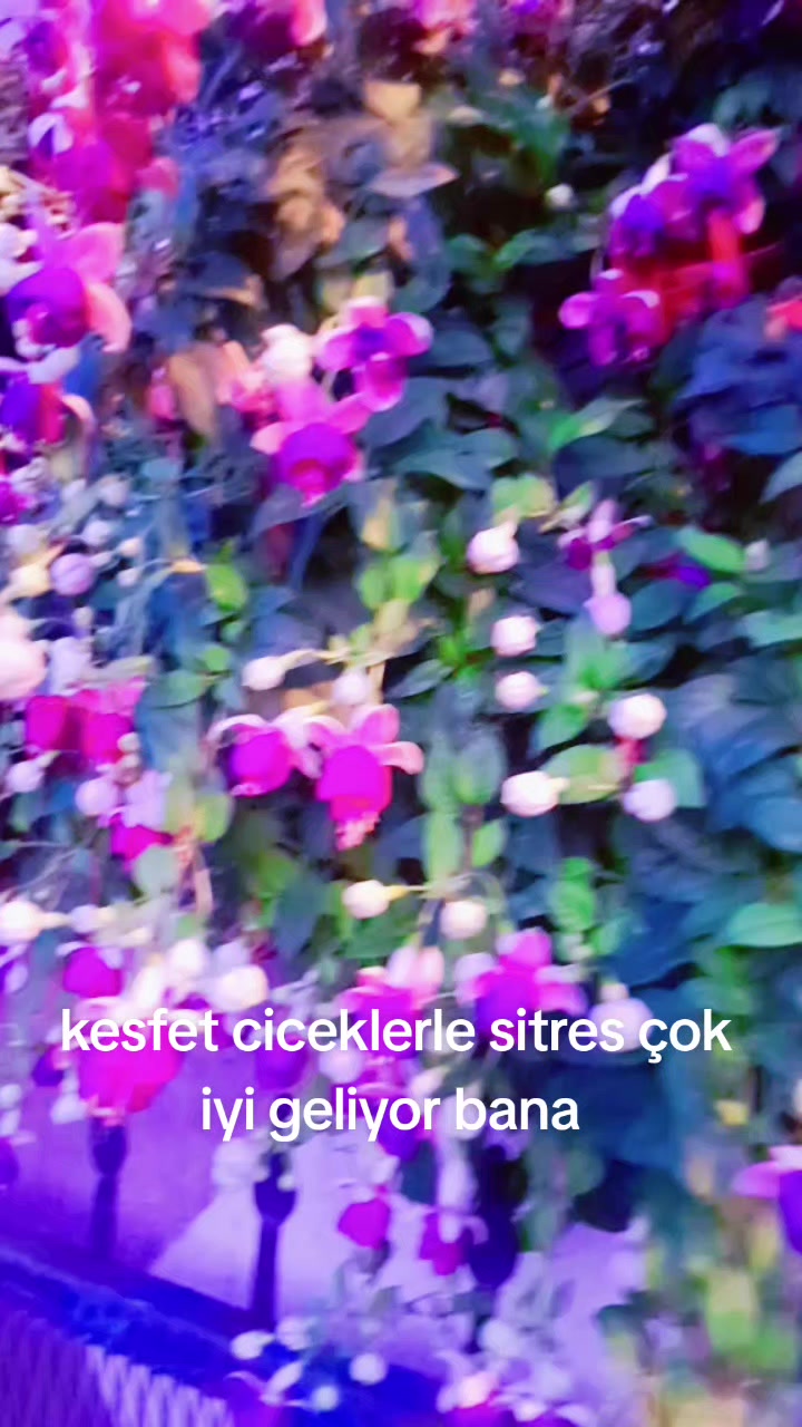 @sana deger
