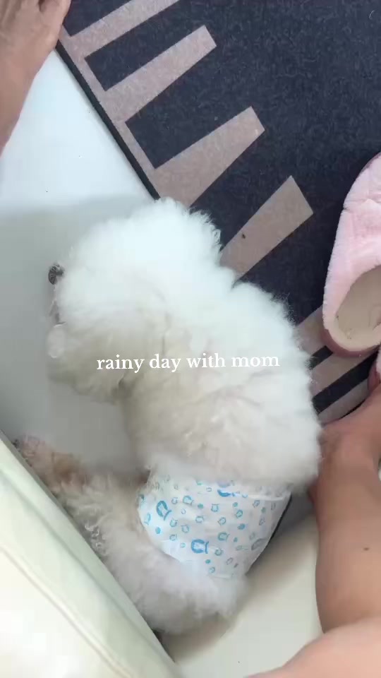 @rungg