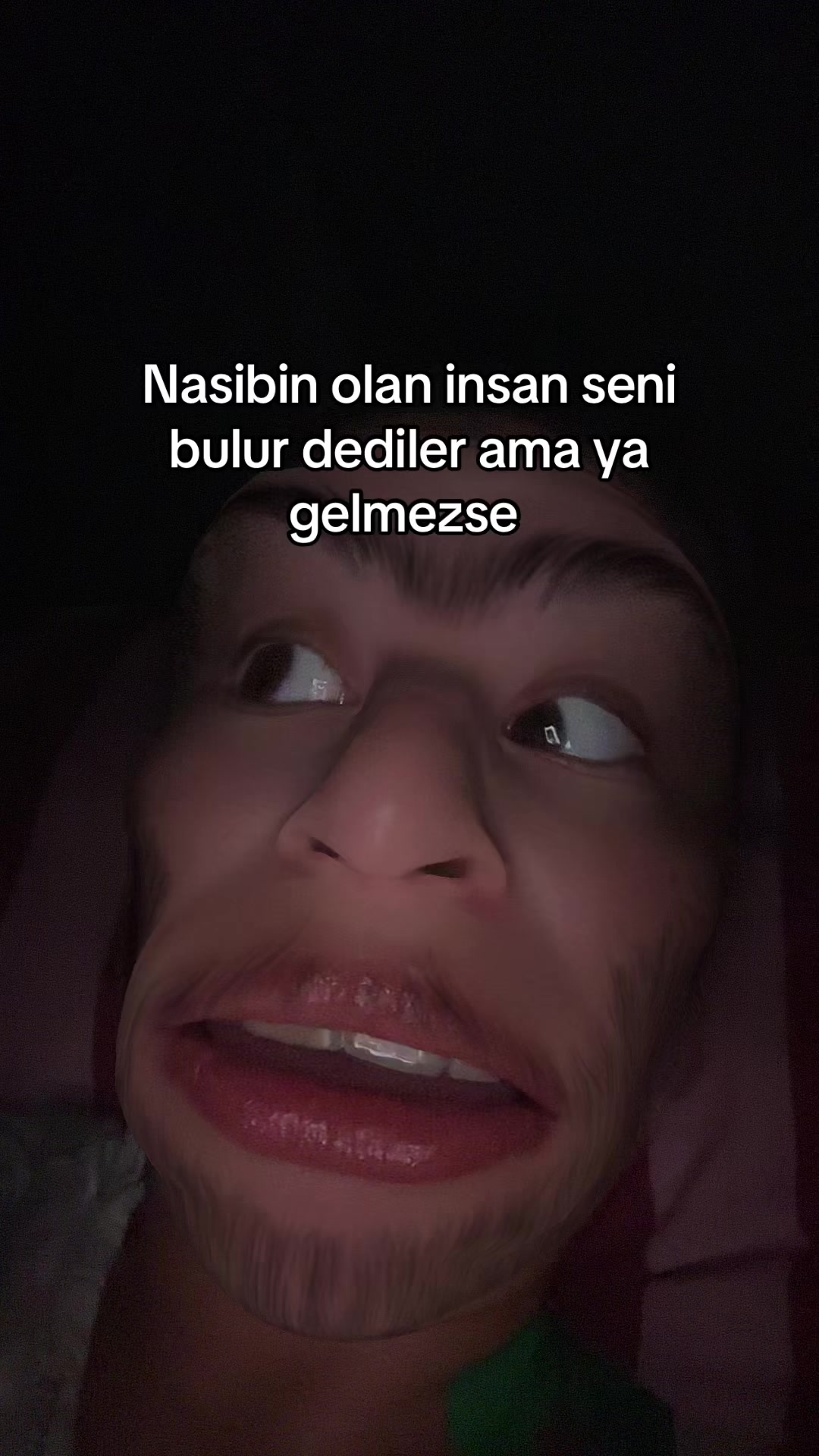 @sheyda