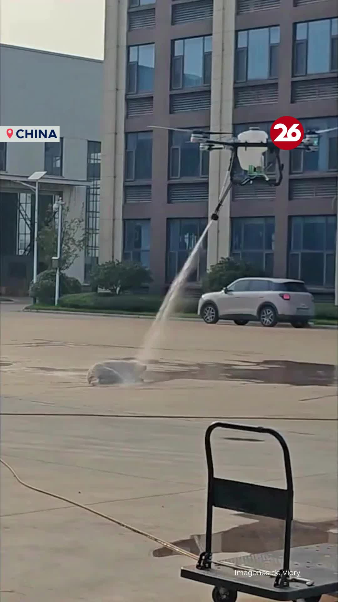 @Canal 26