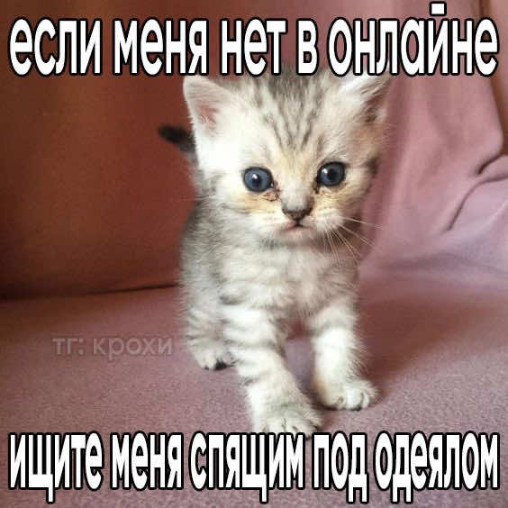 @линк