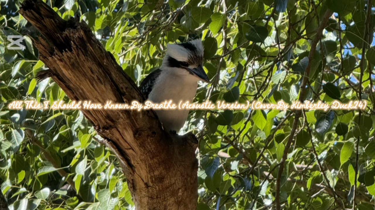 @Kimberley Duck24