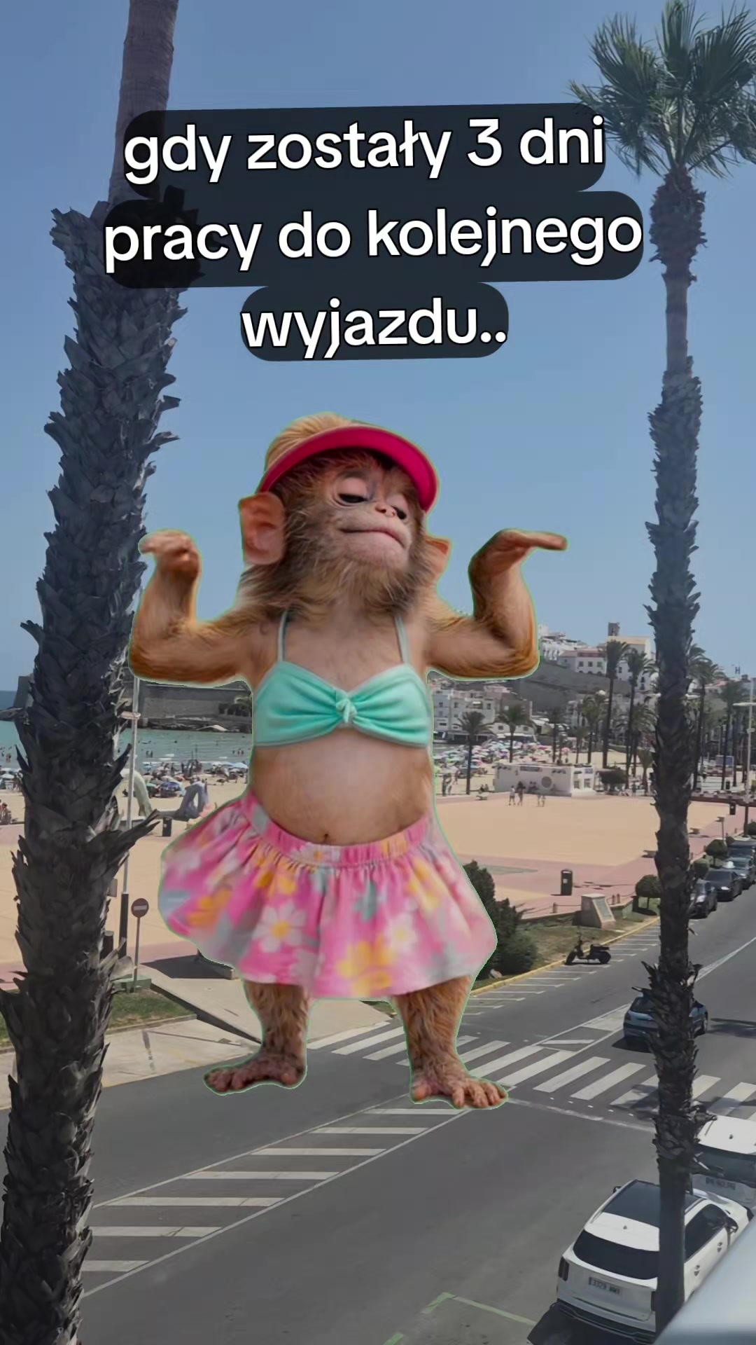 @Śladami Zebry