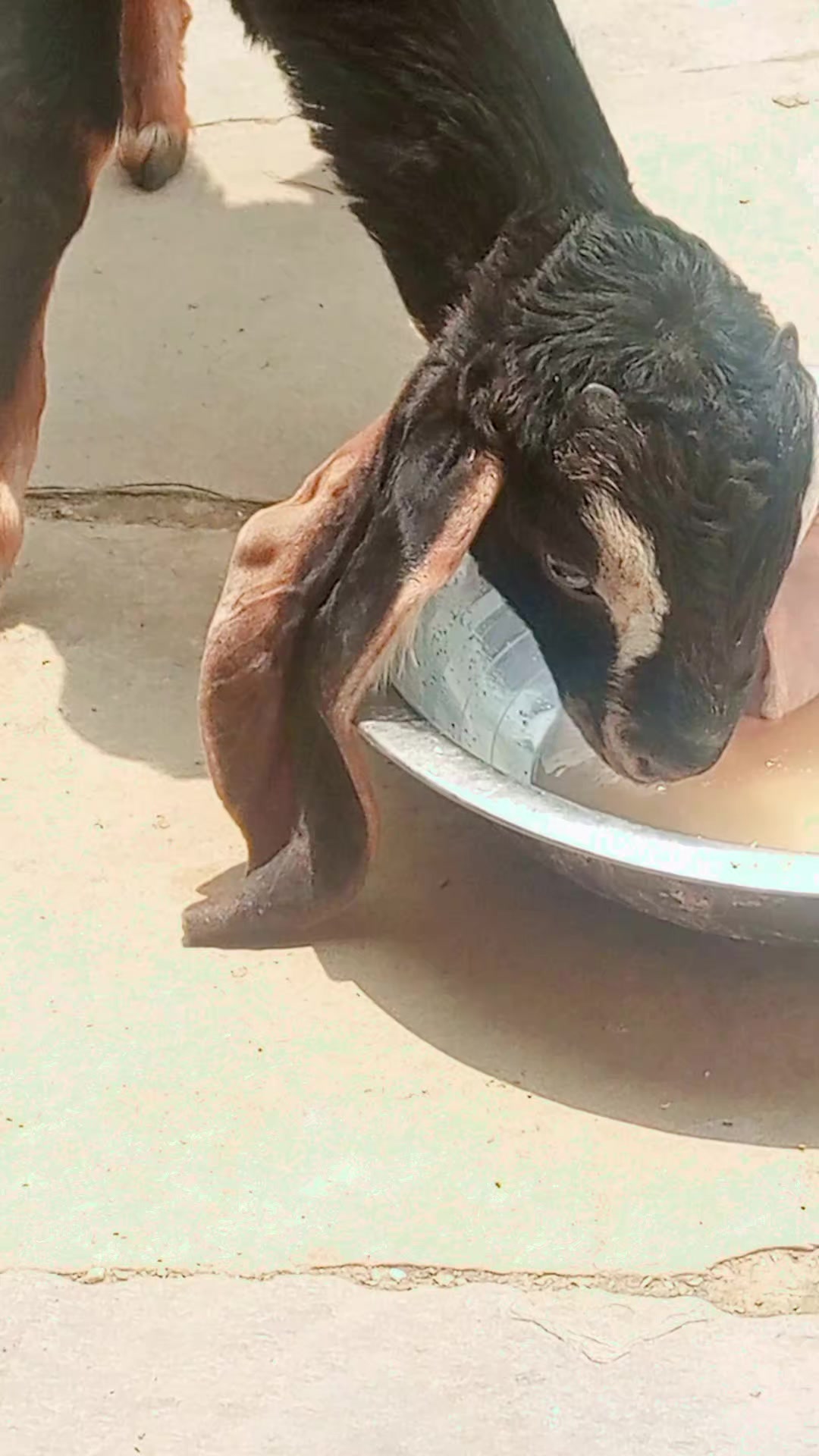 @शहरमा केही नभाकाे मान्छे