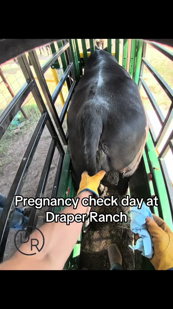 @draperranch