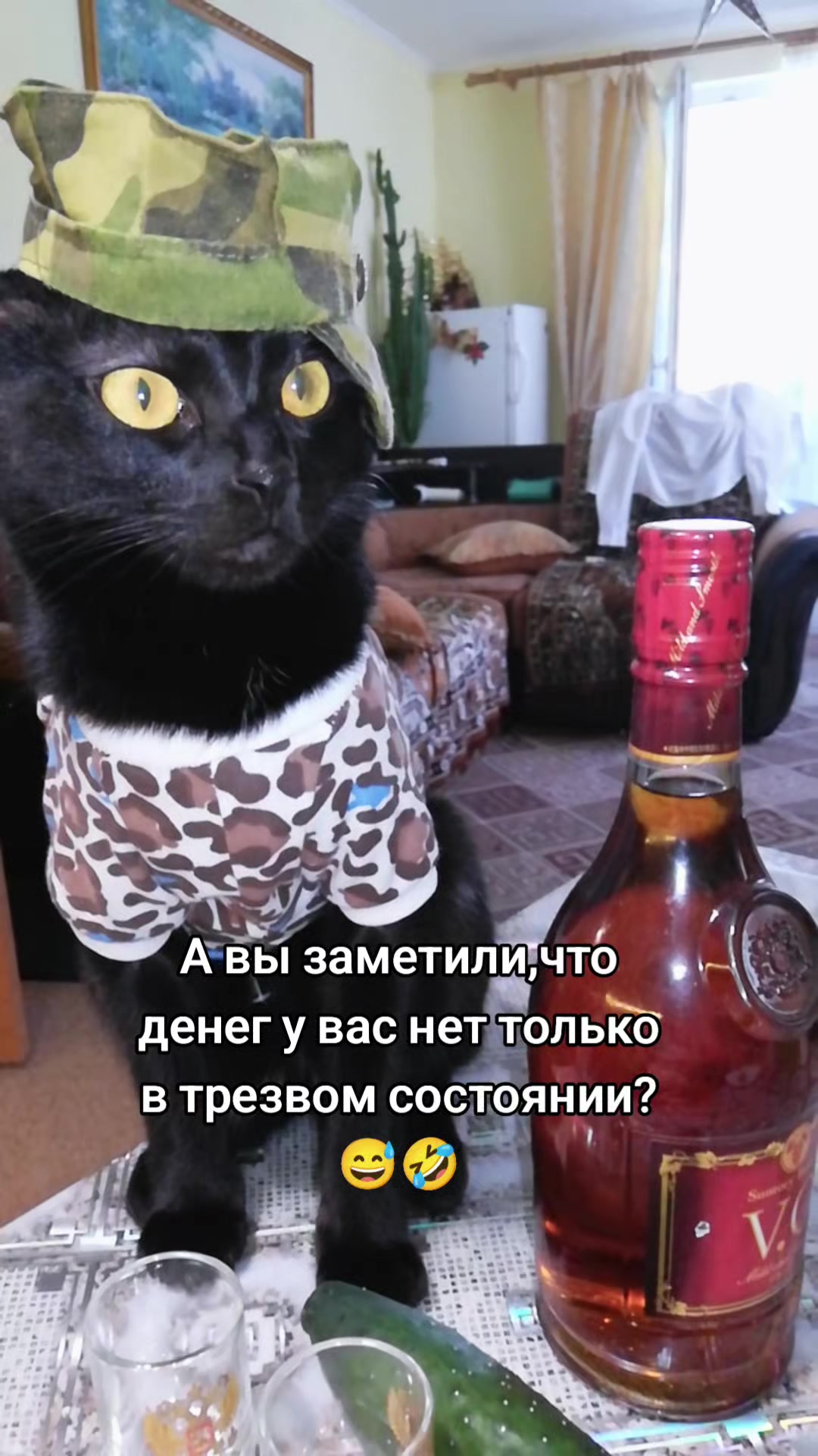 @ИрА😹Эля🐾🐾 ✔