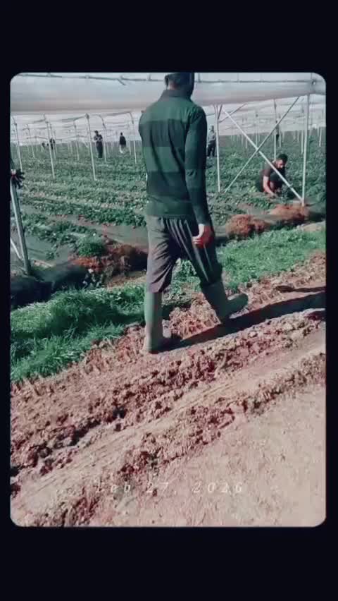 @Arvind.saharan1998