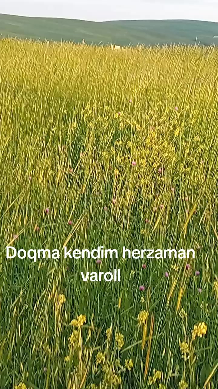 @S 056