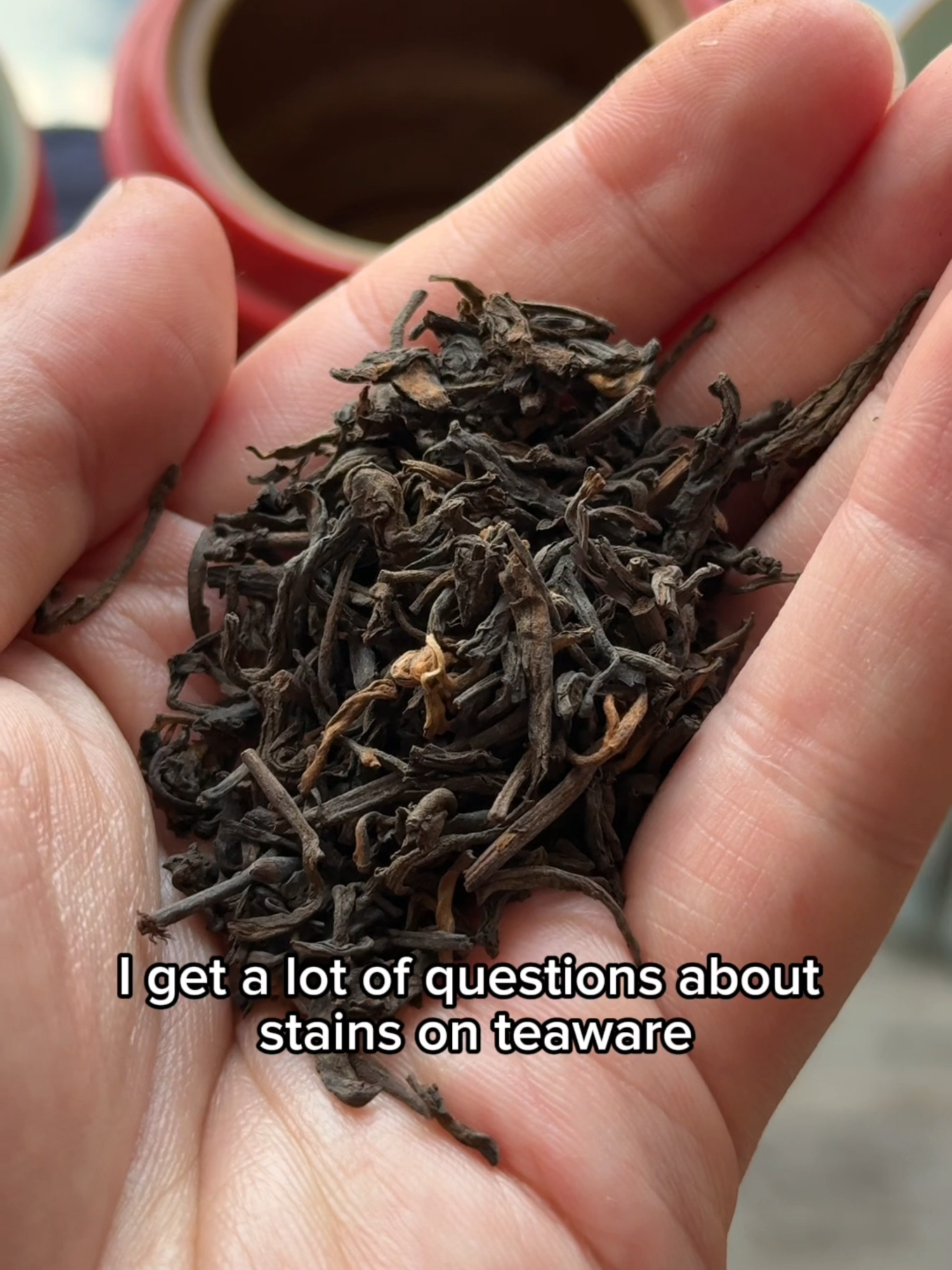 @Jesses Teahouse