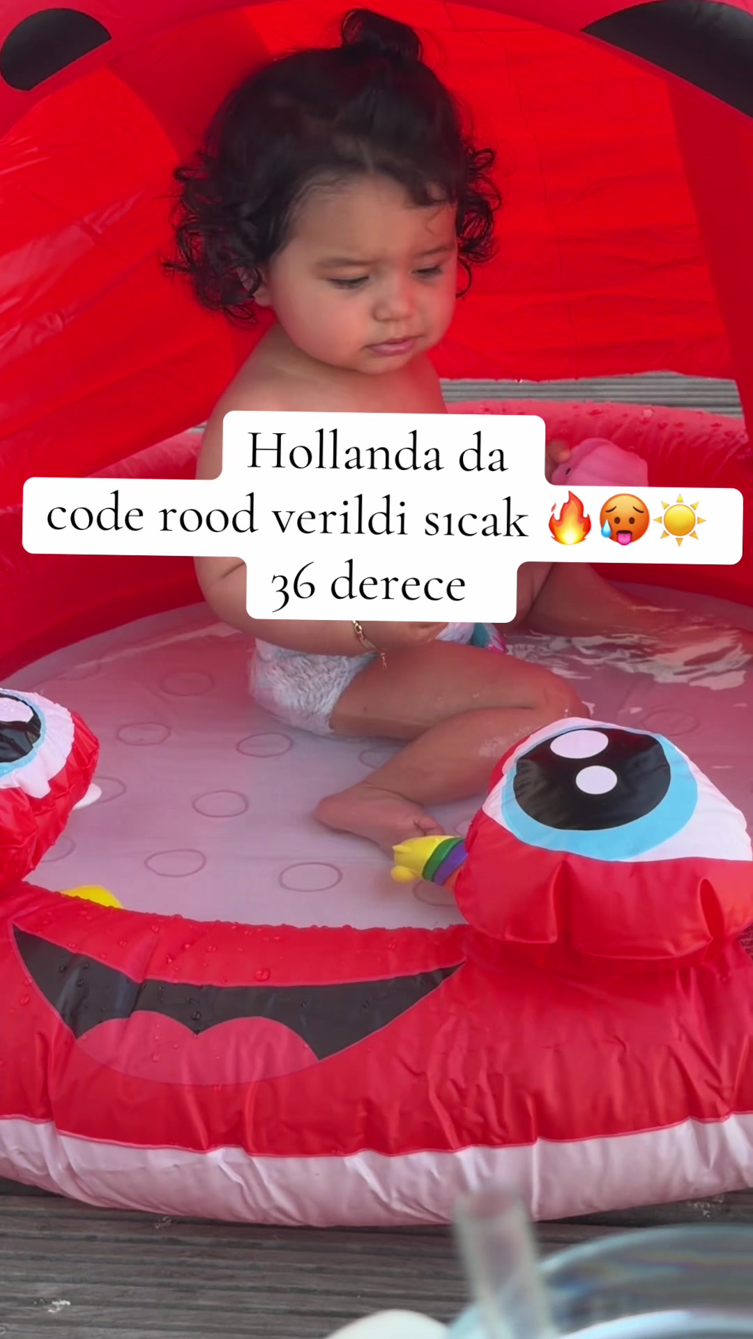 @Linda & Little Love🐥