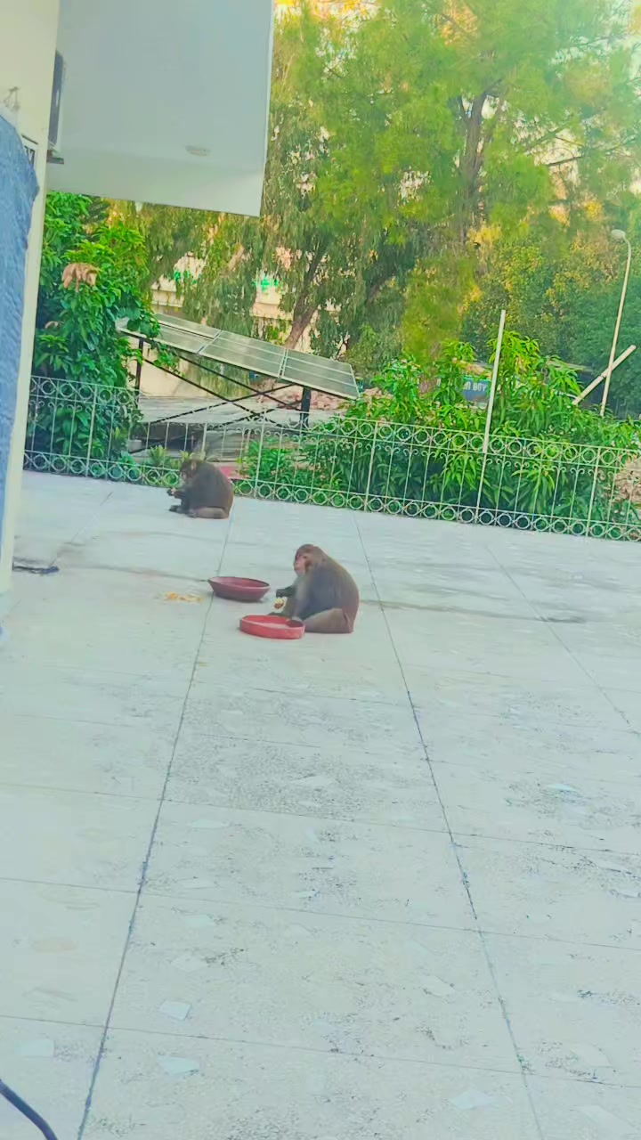 @Asim🇵🇰
