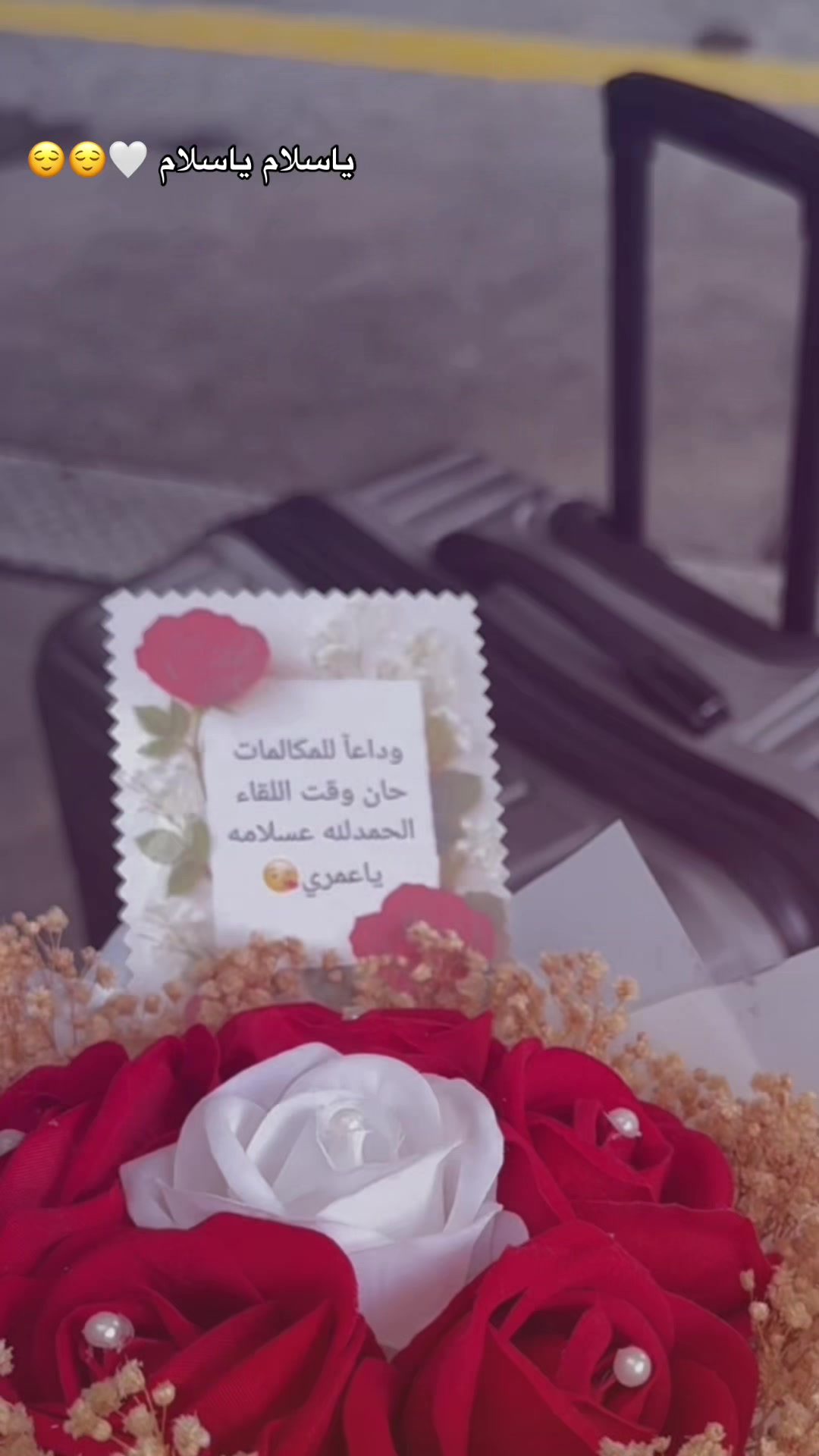 @وئام طحان