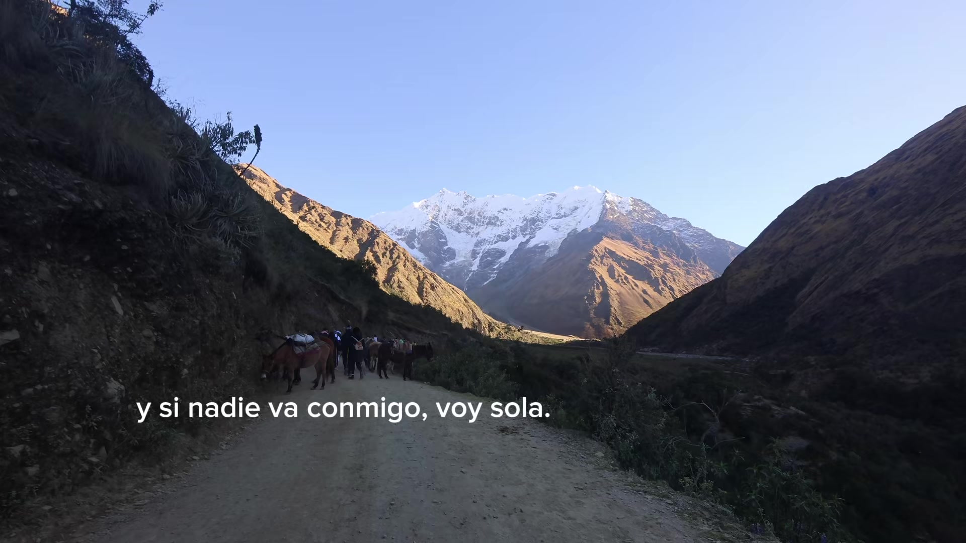 @Valeria Rojas