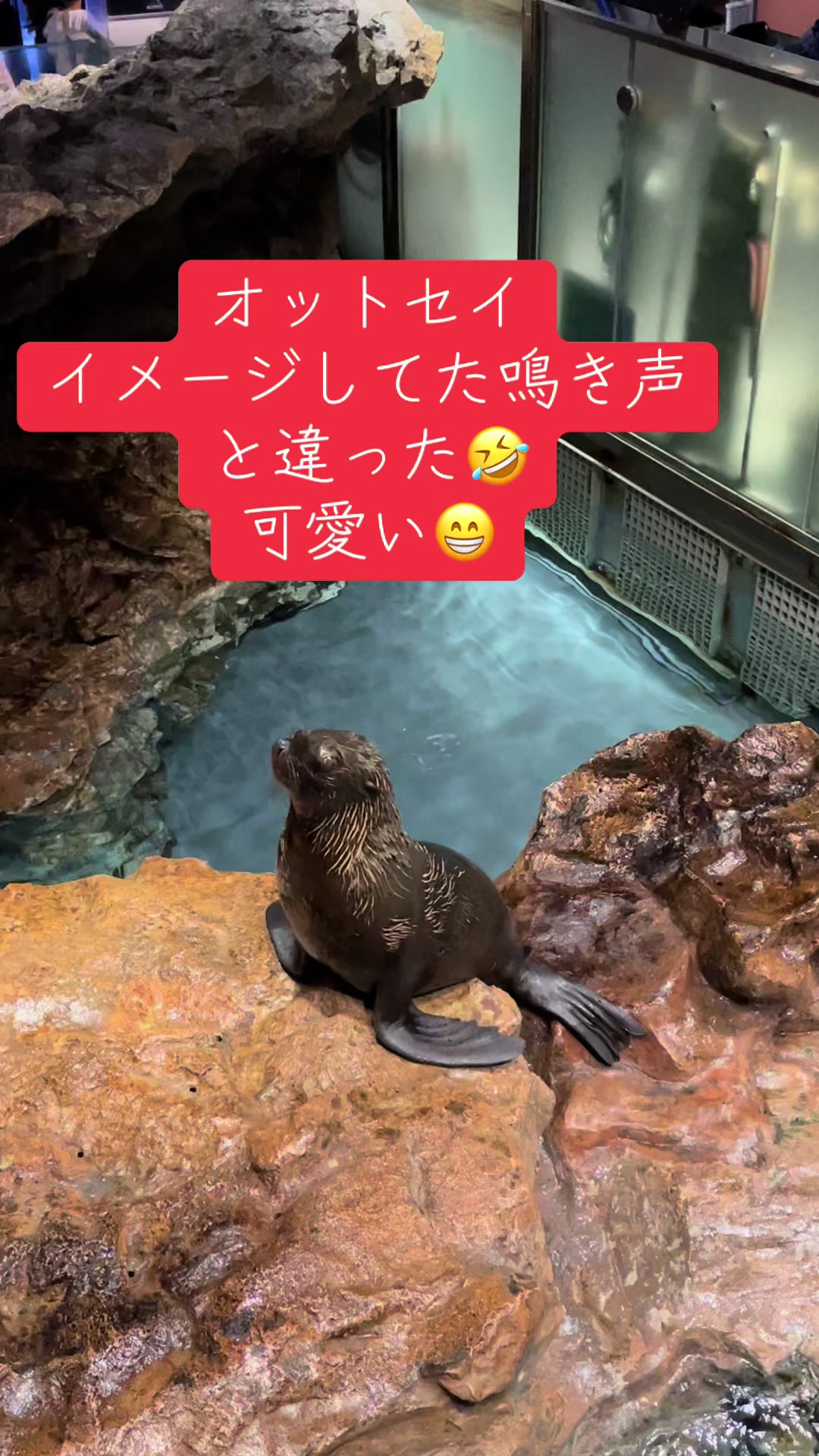 @たまクラ🪼🌙(｀･&omega;･&acute;)ゞ