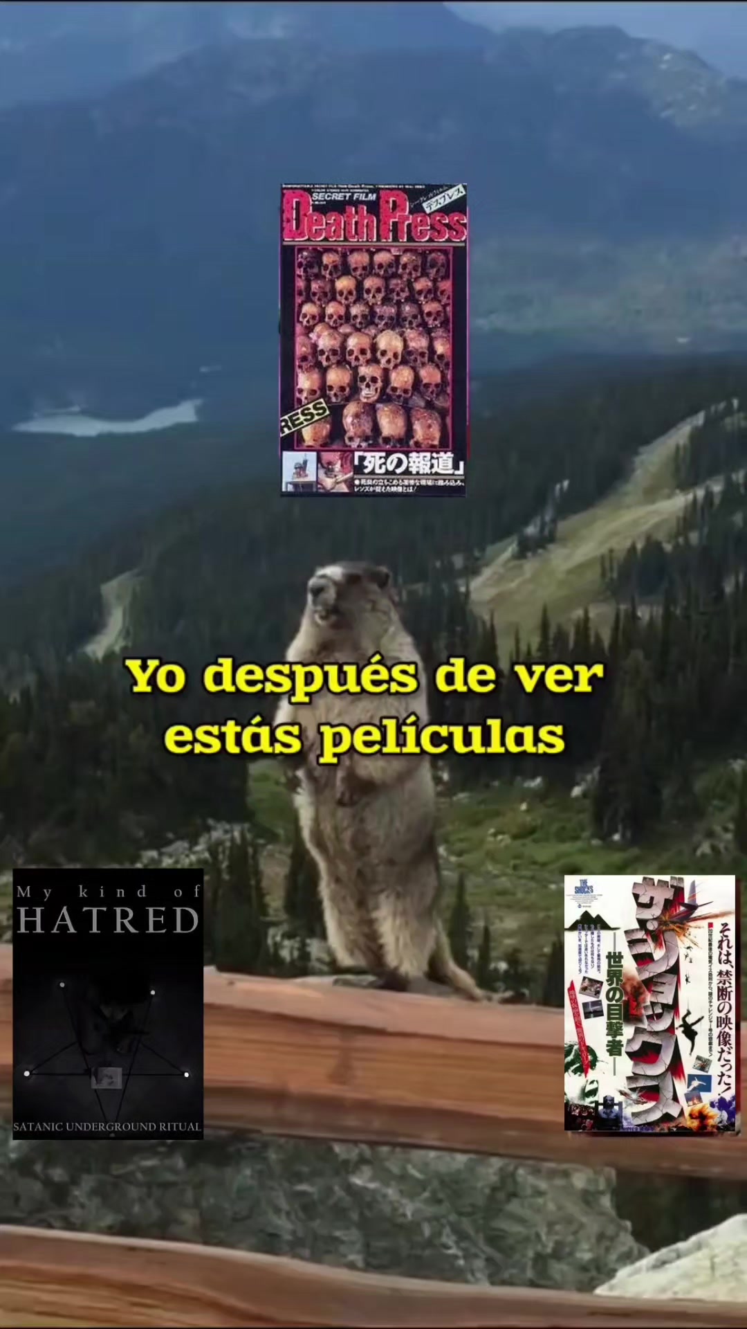 @p&aacute;gina podrida