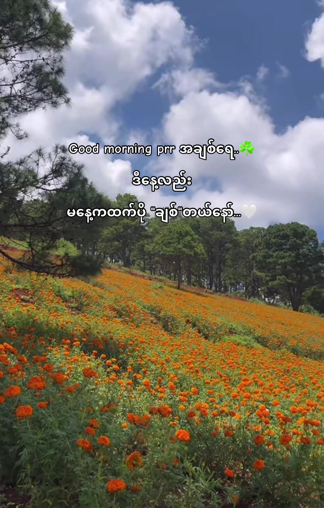 @â¤ď¸đĽHONEYâ¤ď¸đĽ