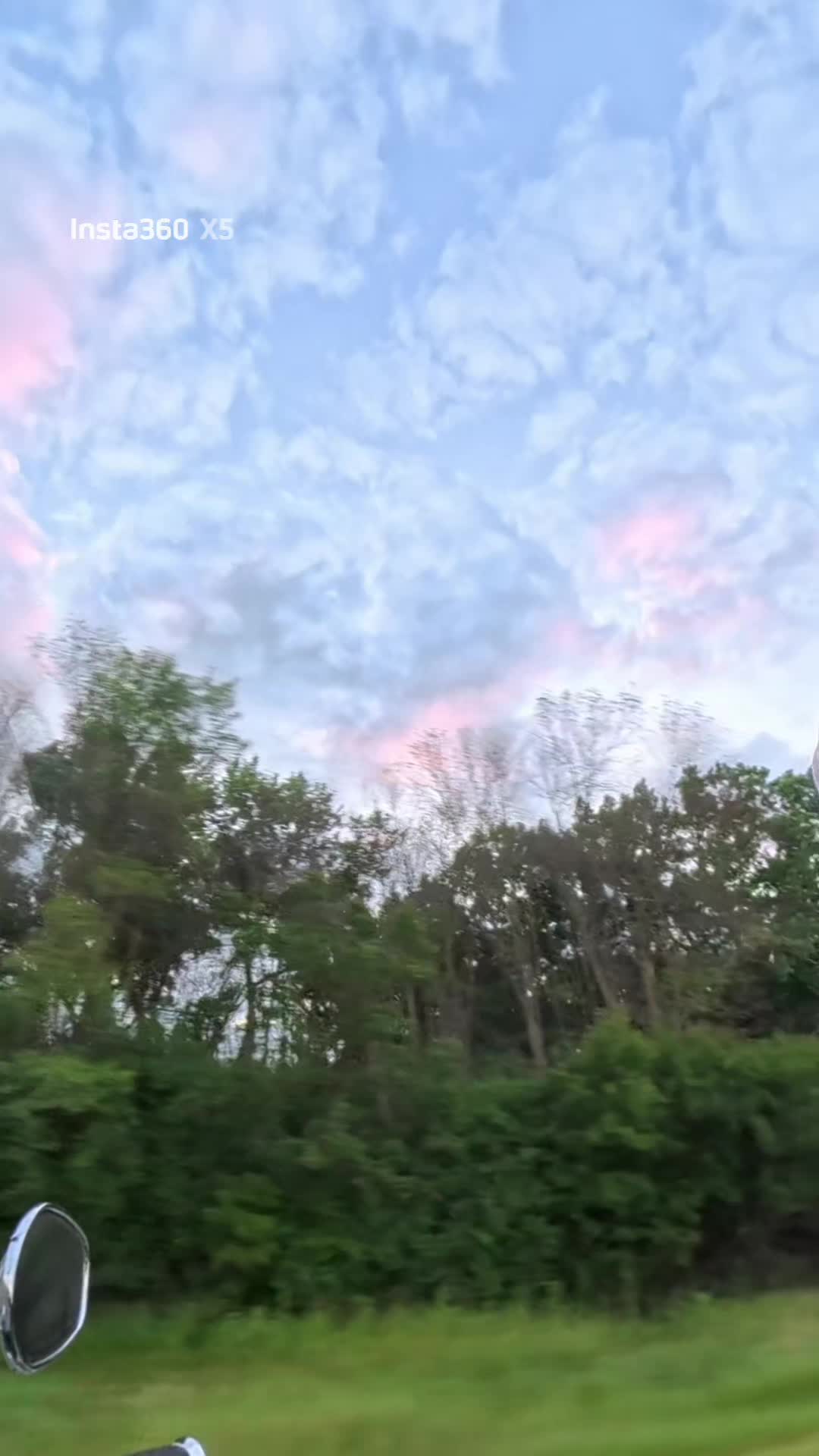 @Mushnutz