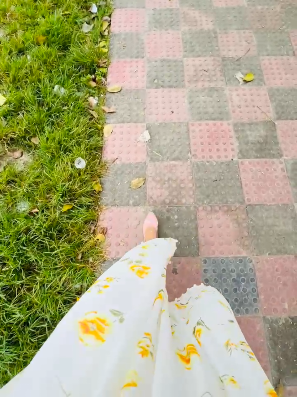 @đāĻāĻžāϤā§āϰ āĻāĻžāϞāĻŋ āĻŦāĻŋāϞāĻžāĻđ
