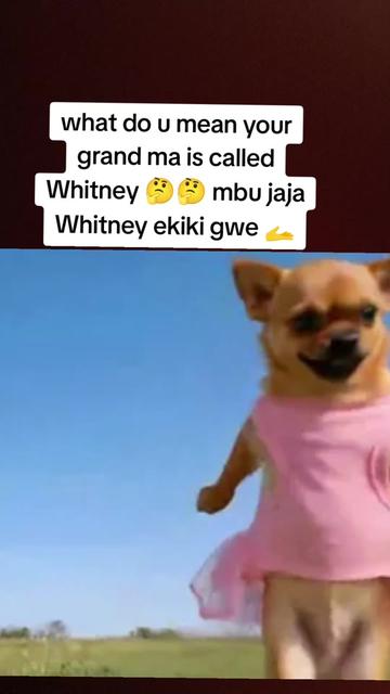 @loranancy