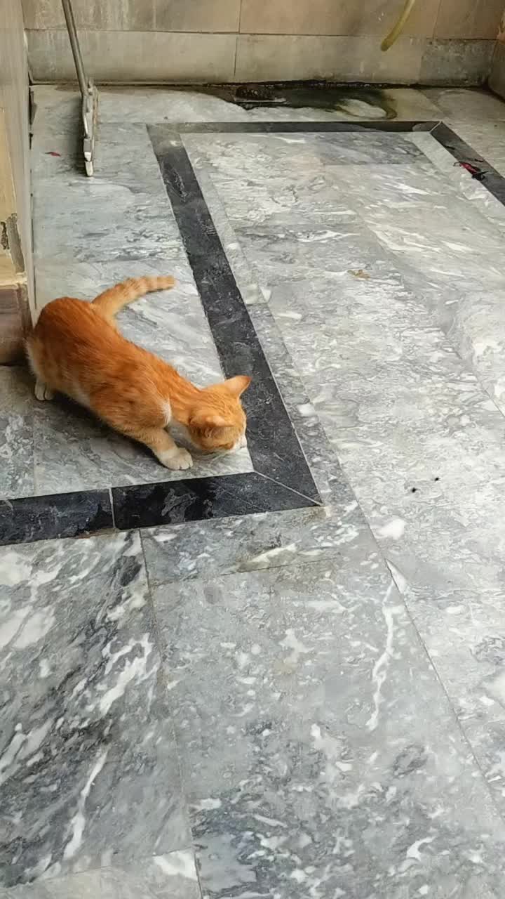 @✌️MR BUTT✌️