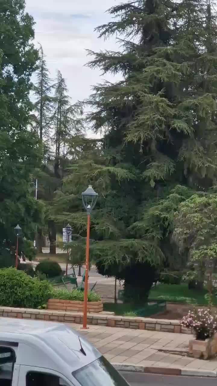 @ifrane city