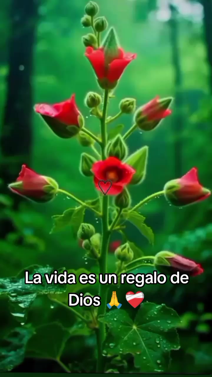 @🌟MRLN😘🫶🪷☘️