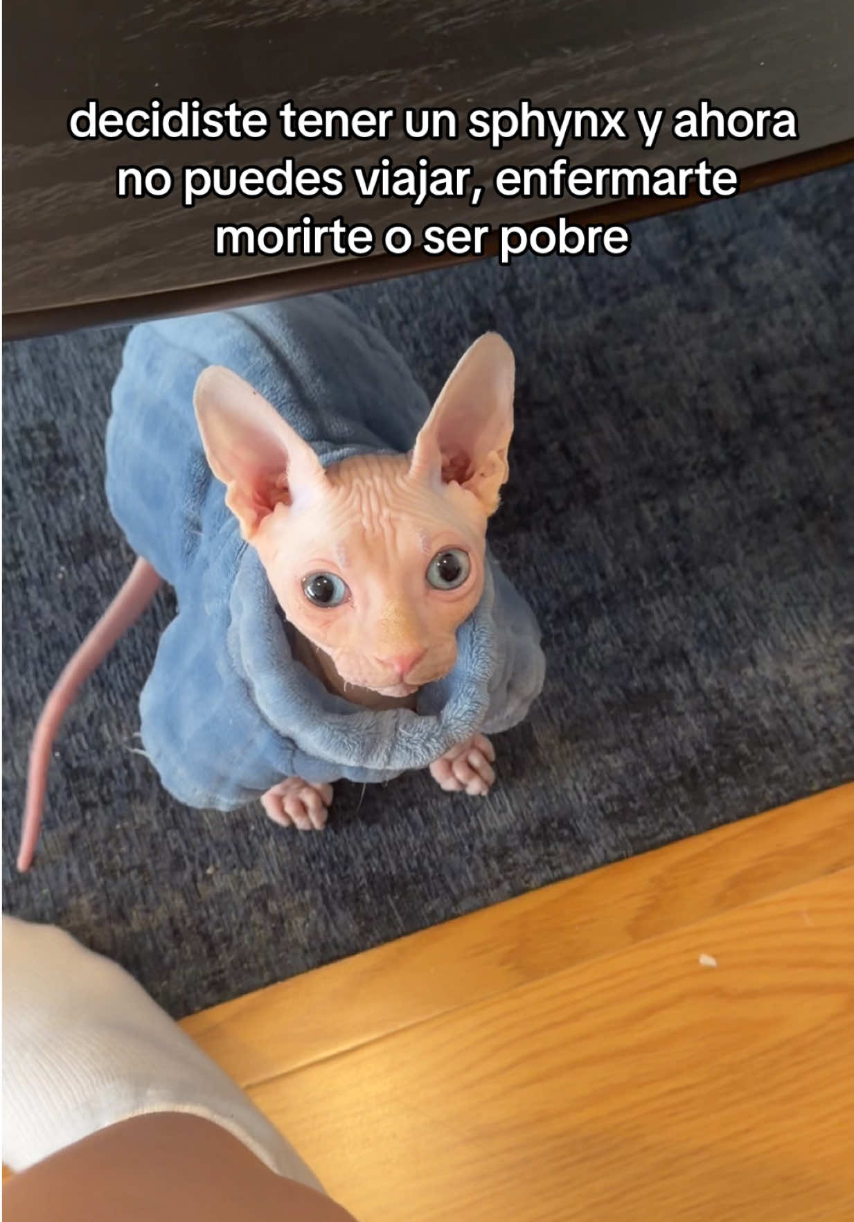 @Lola Martinez