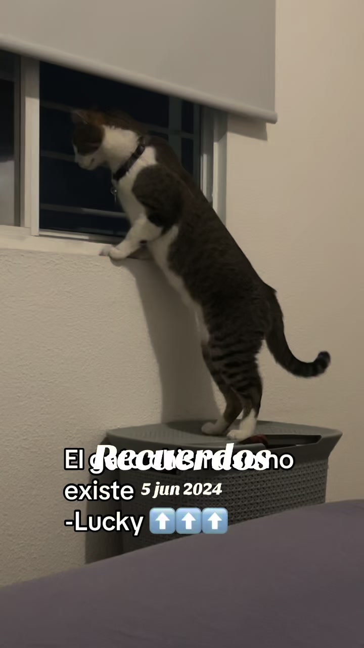 @Karen Castellanos