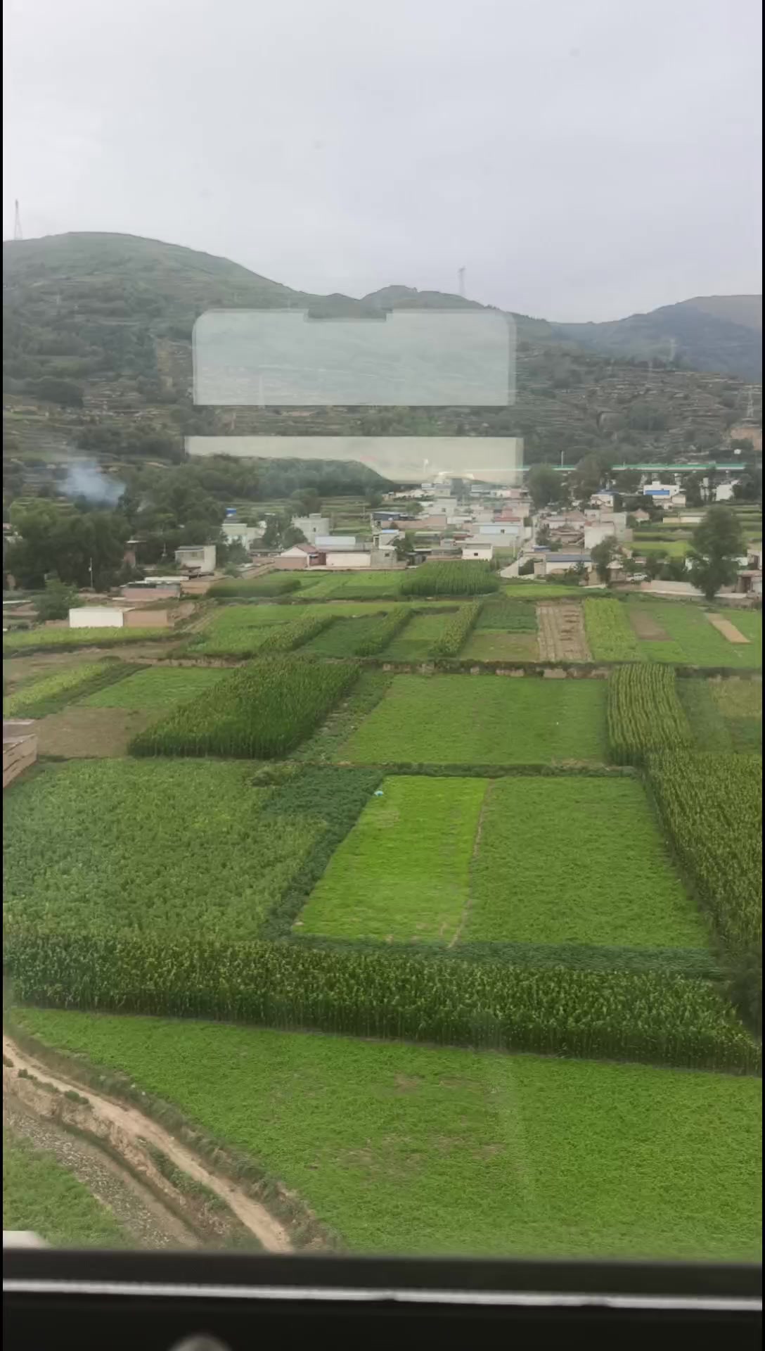 @Ali Shar