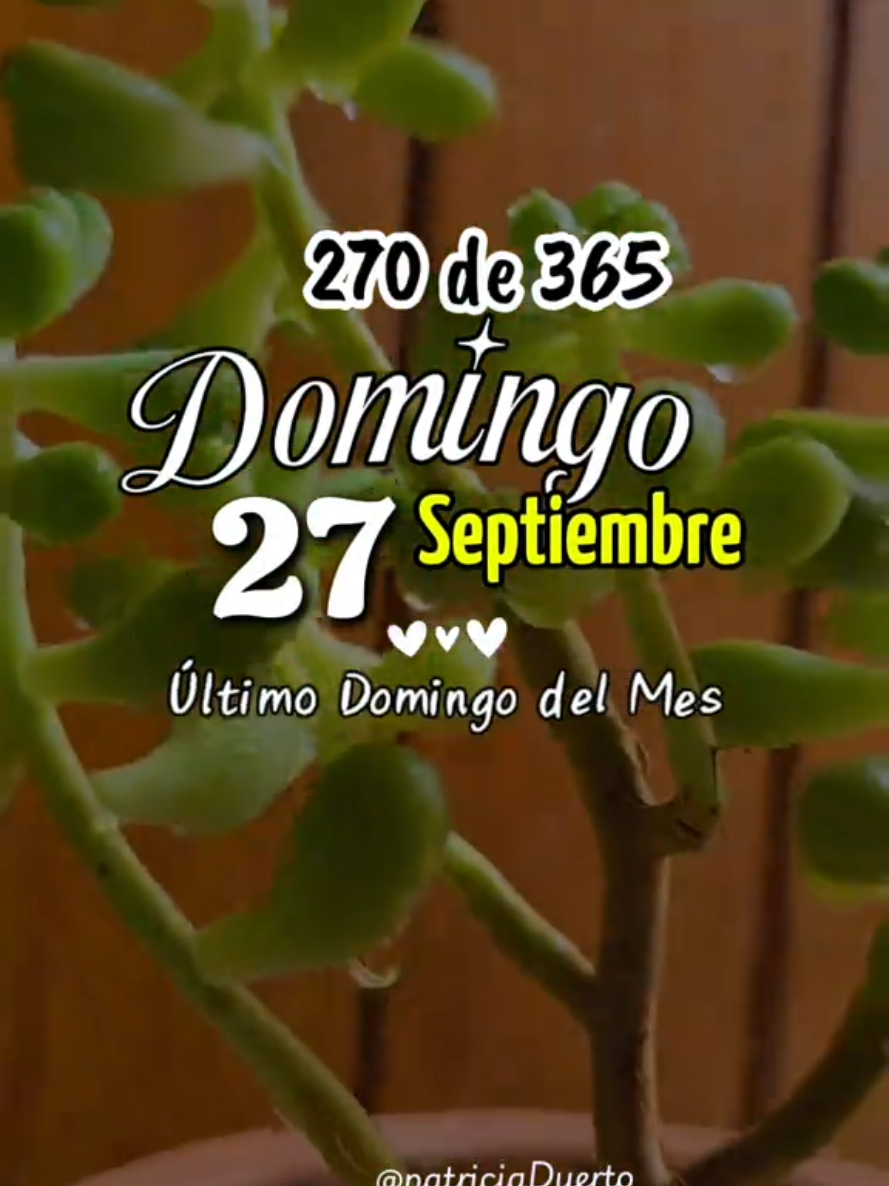 @Patricia Duerto