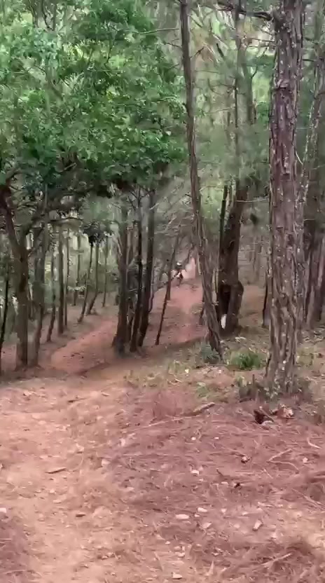 @Chuquito Peña Delgad