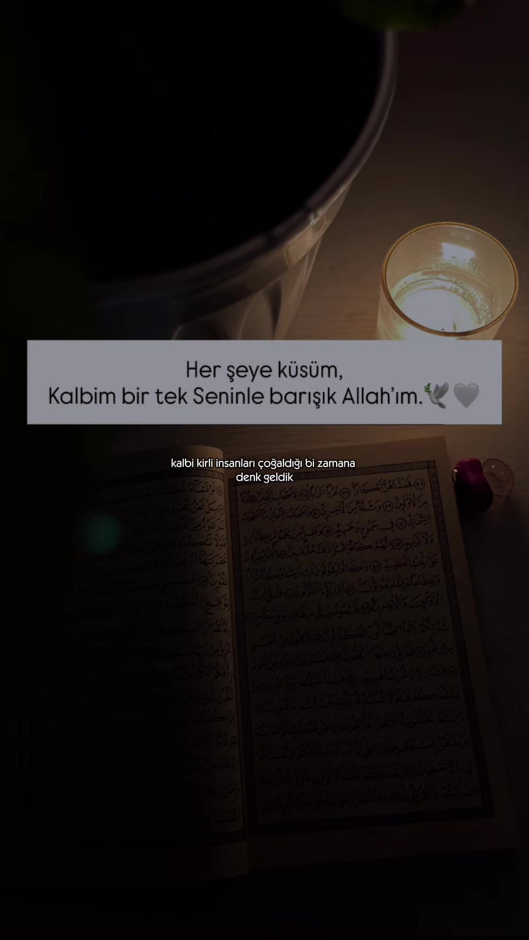@ravzanur740