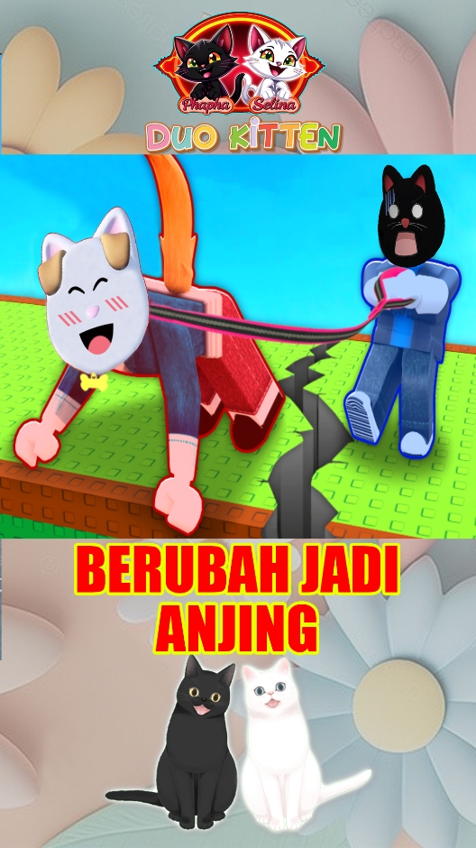 @Duo Kitten