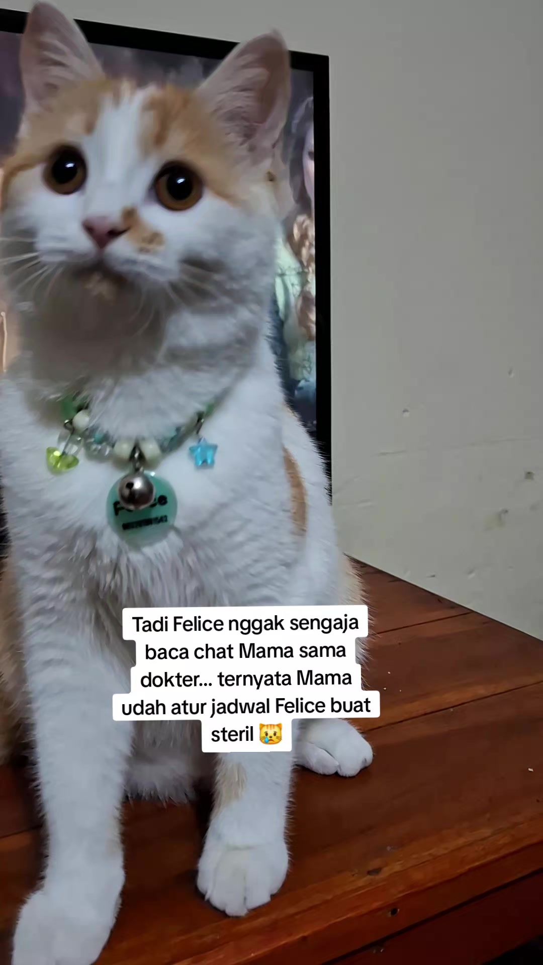 @Felice