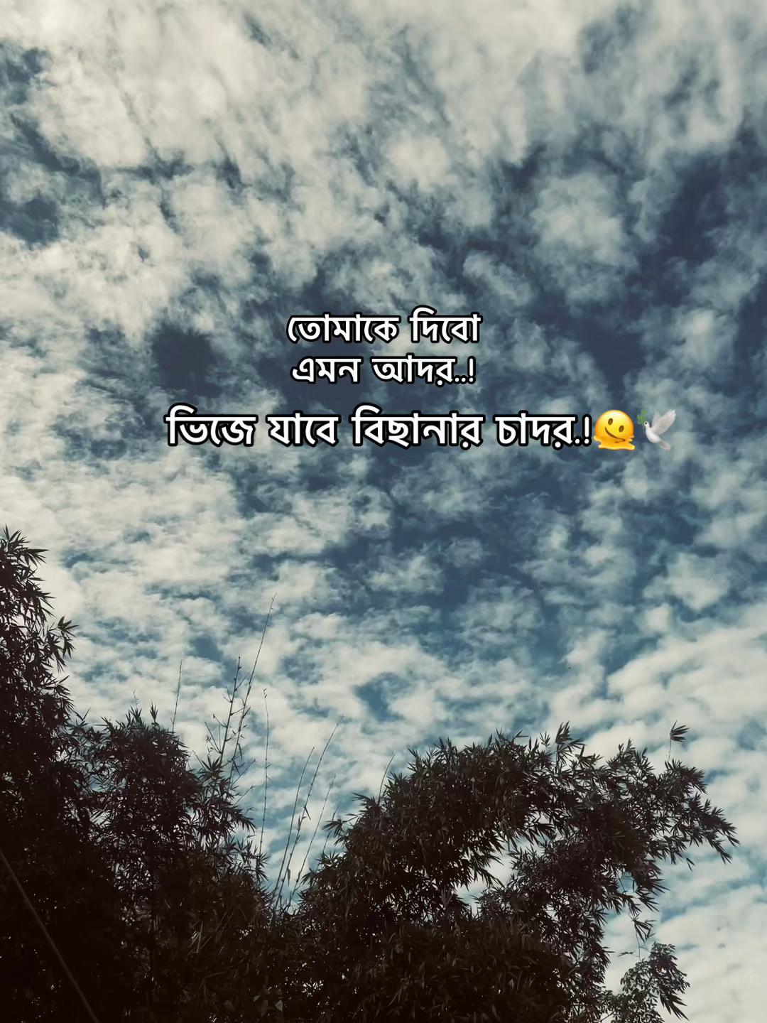 @𝐀𝐬𝐡𝐢𝐤 𝐁𝐡𝐚𝐢𝐲𝐞𝐚_♡
