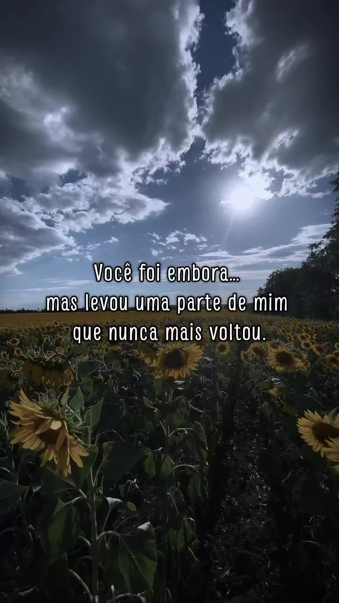 @Conselho Emocional