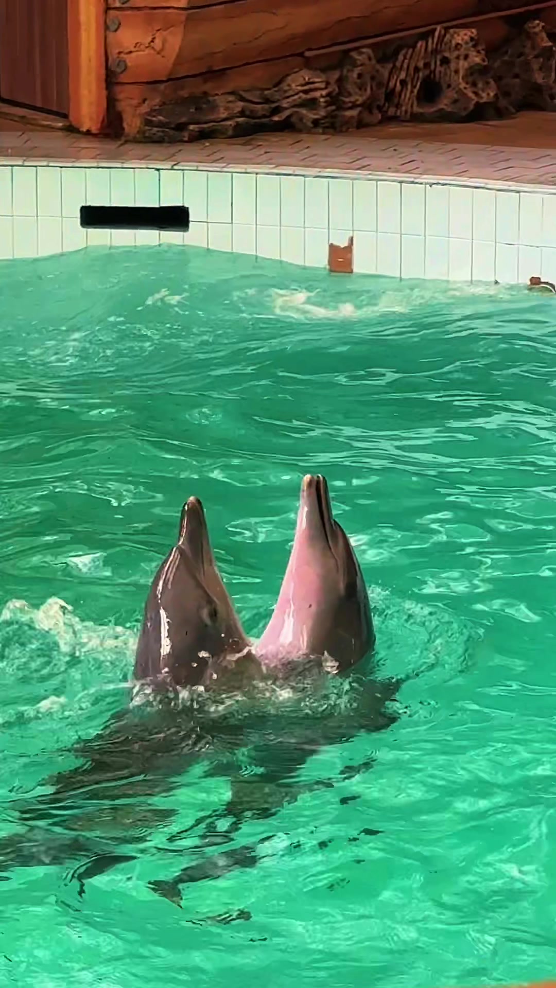 @الهام بنت عيسى🇸🇦