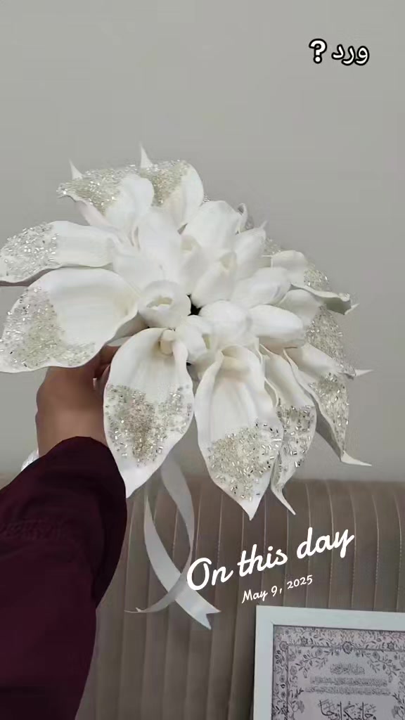 @gehadosama818