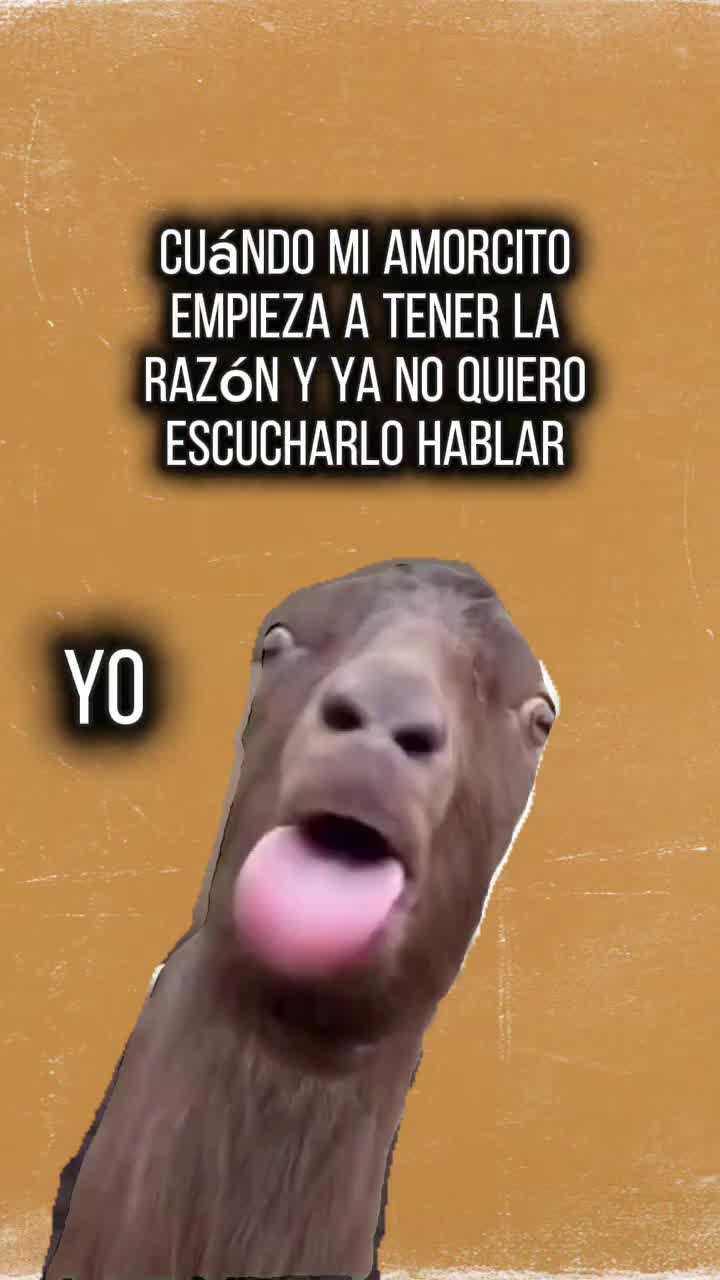 @Isaa