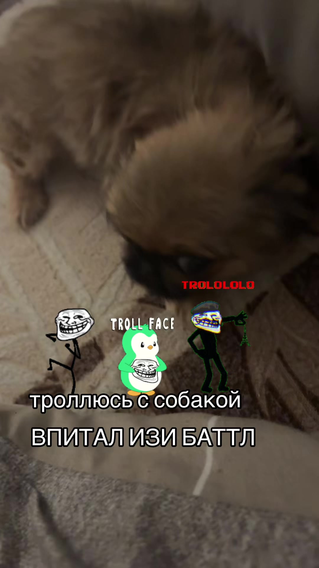 @холодный воздух