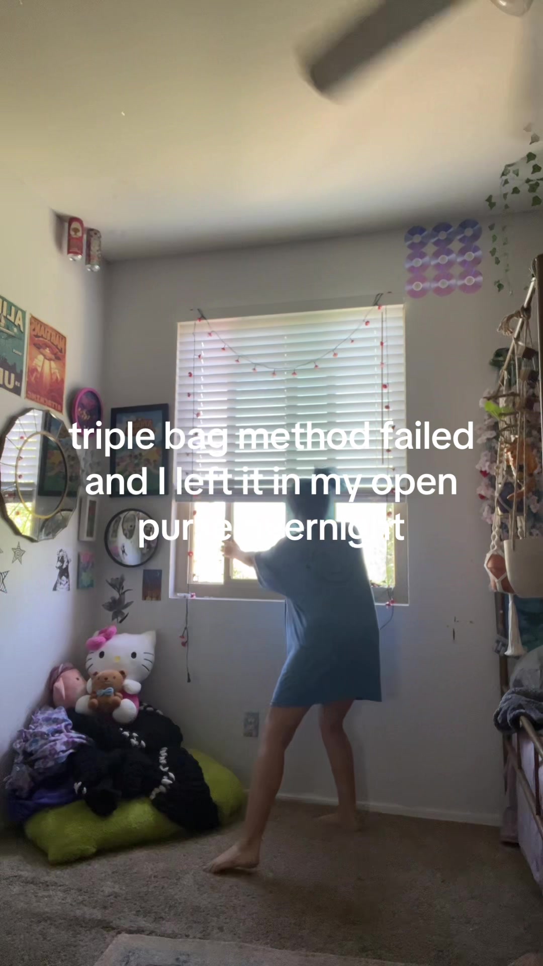 @Noelle