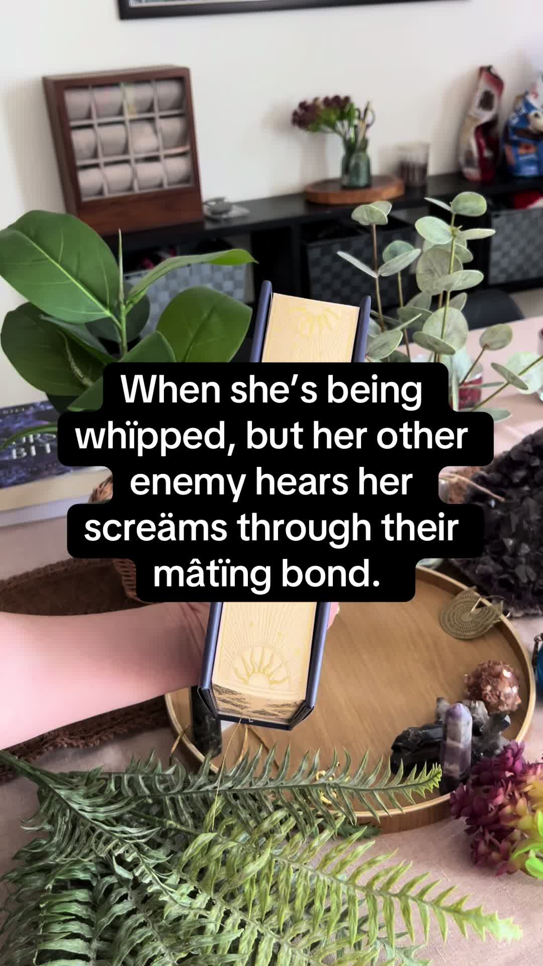 @Daniela A. Mera Books