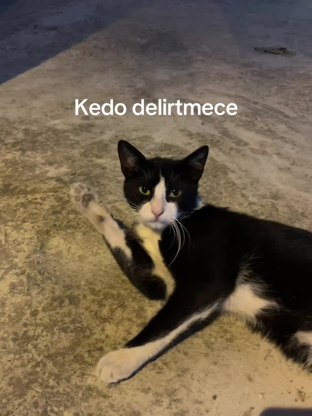 @be𓋹z꩜s