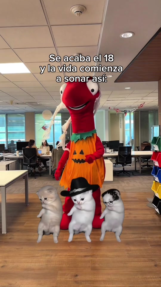 @Los Monos del Bci