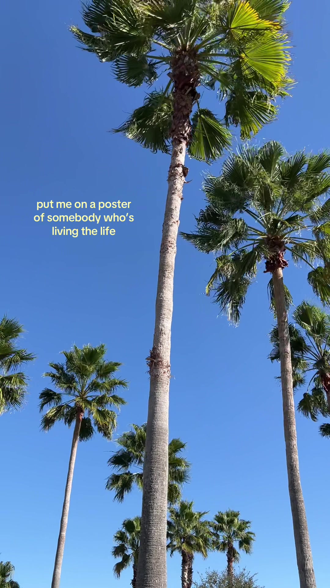 @𓇼 glenda | life by the sea 𓇼