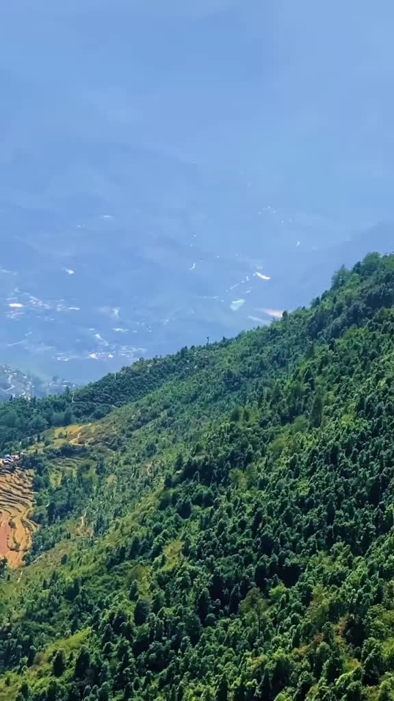 @mijeshchaudhary