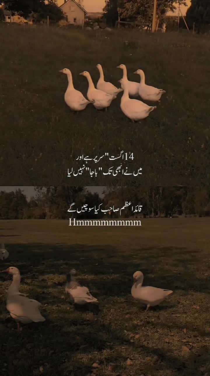 @𝙃𝙀𝙔 • 𝙎𝙐𝙉𝙉𝙔